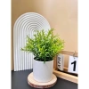 Cây Giả Kèm Chậu Để Bàn HiTree - Trang Trí Nhà Cửa, Giá 19.500 VND (Giảm) 7