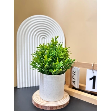 Cây Giả Kèm Chậu Để Bàn HiTree - Trang Trí Nhà Cửa, Giá 19.500 VND (Giảm)