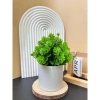 Cây Giả Kèm Chậu Để Bàn HiTree - Trang Trí Nhà Cửa, Giá 19.500 VND (Giảm) 10