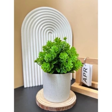 Cây Giả Kèm Chậu Để Bàn HiTree - Trang Trí Nhà Cửa, Giá 19.500 VND (Giảm)