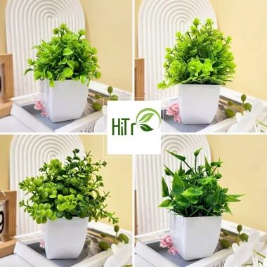 Cây Giả Mini Chậu Để Bàn HiTree – Trang Trí Nhà Cửa, Giá Giảm 45.000₫