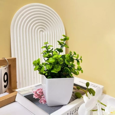 Cây Giả Mini Chậu Để Bàn HiTree – Trang Trí Nhà Cửa, Giá Giảm 45.000₫