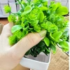 Cây Giả Mini Chậu Để Bàn HiTree – Trang Trí Nhà Cửa, Giá Giảm 45.000₫ 4