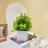 Cây Giả Mini Chậu Để Bàn HiTree – Trang Trí Nhà Cửa, Giá Giảm 45.000₫ 7