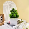 Cây Giả Mini Chậu Để Bàn HiTree – Trang Trí Nhà Cửa, Giá Giảm 45.000₫ 8