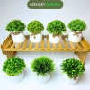 Cây giả mini thắt nơ - Trang trí decor nhà cửa, chậu cây giả, giá chỉ 15.000 VND