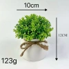 Cây giả mini thắt nơ - Trang trí decor nhà cửa, chậu cây giả, giá chỉ 15.000 VND 9