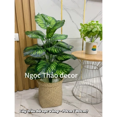 Cây giả trầu bà lá rùa 70cm - Trang trí không gian sống hiện đại, giảm còn 139k 2