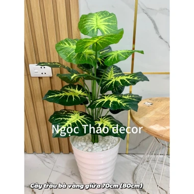 Cây giả trầu bà lá rùa 70cm - Trang trí không gian sống hiện đại, giảm còn 139k 3