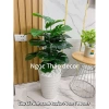 Cây giả trầu bà lá rùa 70cm - Trang trí không gian sống hiện đại, giảm còn 139k 4