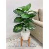 Cây giả trầu bà lá rùa 70cm - Trang trí không gian sống hiện đại, giảm còn 139k 6