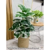 Cây giả trầu bà lá rùa 70cm - Trang trí không gian sống hiện đại, giảm còn 139k 7
