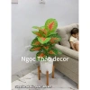 Cây giả trầu bà lá rùa 70cm - Trang trí không gian sống hiện đại, giảm còn 139k 8