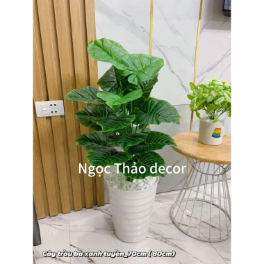 Cây giả trầu bà lá rùa 70cm - Trang trí không gian sống hiện đại, giảm còn 139k 10