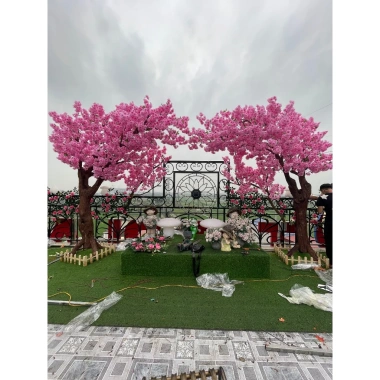Cây Hoa Anh Đào Nhật Loại 1 – Hoa Lụa Nhập Khẩu, Thân Gỗ Tự Nhiên, Trang Trí Nhà & Quán Café, Giá Ưu Đãi 2.8 Triệu 6 Cây Hoa Anh Đào Nhật Loại 1 – Hoa Lụa Nhập Khẩu, Thân Gỗ Tự Nhiên, Trang Trí Nhà & Quán Café, Giá Ưu Đãi 2.8 Triệu 6