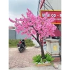 Cây Hoa Anh Đào Nhật Loại 1 – Hoa Lụa Nhập Khẩu, Thân Gỗ Tự Nhiên, Trang Trí Nhà & Quán Café, Giá Ưu Đãi 2.8 Triệu 7