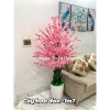 Cây hoa đào và hoa mai giả trang trí Tết, decor, giảm 22 phần trăm chỉ 849.600 đồng 3