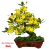 Cây hoa mai/đào bonsai thân nhựa lắp ráp - Giá ưu đãi 240.000đ (giảm từ 312.000đ) 3