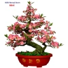 Cây hoa mai/đào bonsai thân nhựa lắp ráp - Giá ưu đãi 240.000đ (giảm từ 312.000đ) 4