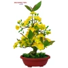 Cây hoa mai/đào bonsai thân nhựa lắp ráp - Giá ưu đãi 240.000đ (giảm từ 312.000đ) 8