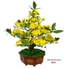 Cây hoa mai/đào bonsai thân nhựa lắp ráp - Giá ưu đãi 240.000đ (giảm từ 312.000đ) 10