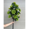 Cây Hoa Mẫu Đơn Thân Cổ 100cm - Cây Giả Trang Trí, Hoa Lụa Giá 150k