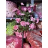 Cây Hoa Mẫu Đơn Thân Cổ 100cm - Cây Giả Trang Trí, Hoa Lụa Giá 150k 6