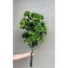 Cây Hoa Mẫu Đơn Thân Cổ 100cm - Cây Giả Trang Trí, Hoa Lụa Giá 150k 7