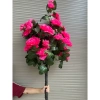 Cây Hoa Mẫu Đơn Thân Cổ 100cm - Cây Giả Trang Trí, Hoa Lụa Giá 150k 9