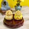 Cây Kim Tiền Hủ Vàng Mini – Cầu Tài Lộc Trang Trí Bàn Thờ Thần Tài Thổ Địa – Giá 40.000 2
