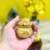 Cây Kim Tiền Hủ Vàng Mini – Cầu Tài Lộc Trang Trí Bàn Thờ Thần Tài Thổ Địa – Giá 40.000 8