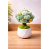 Cây Kim Tiền Mini Handmade Kẽm Nhung Chậu Trang Trí Bàn Quà Tặng May Mắn 49.000 VND 5