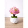 Cây Kim Tiền Mini Handmade Kẽm Nhung Chậu Trang Trí Bàn Quà Tặng May Mắn 49.000 VND 7