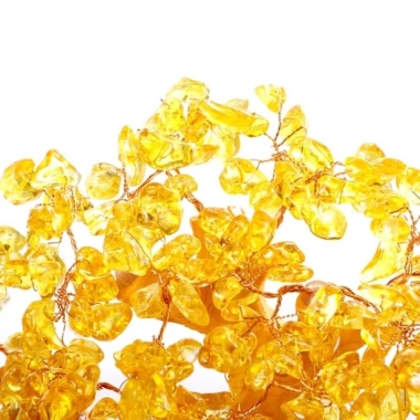 Cây Kim Tiền Tài Lộc, Cây Tiền Vàng Phong Thủy Thu Hút Tài Lộc, Trang Trí Tết Năm Mới, Giá Ưu Đãi 239.000₫