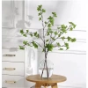 Cây lá giả Cành Thạch Nam 5 nhánh cao cấp trang trí nội thất giảm giá 29.800 VND 3