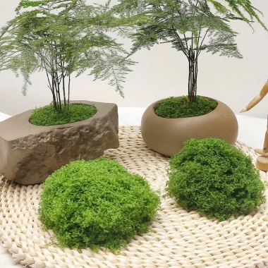 Cây lá trầu bà giả để bàn, trang trí tiệc cưới, quán cafe, sân vườn – 20.000đ 7