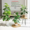Cây môn trầu bà giả cao cấp - Trang trí nhà cửa, giảm còn 115.000 VND