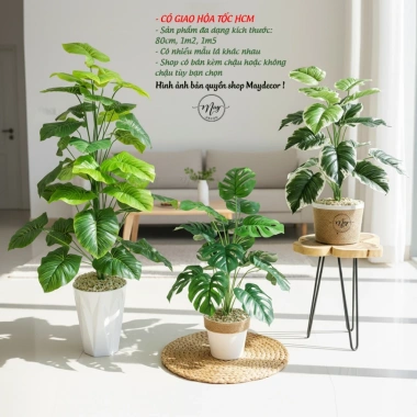 Cây môn trầu bà giả cao cấp - Trang trí nhà cửa, giảm còn 115.000 VND
