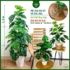 Cây môn trầu bà giả cao cấp - Trang trí nhà cửa, giảm còn 115.000 VND 2