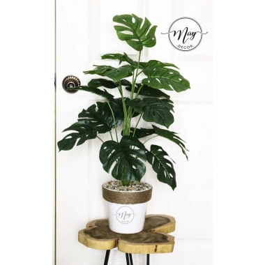 Cây môn trầu bà giả cao cấp - Trang trí nhà cửa, giảm còn 115.000 VND