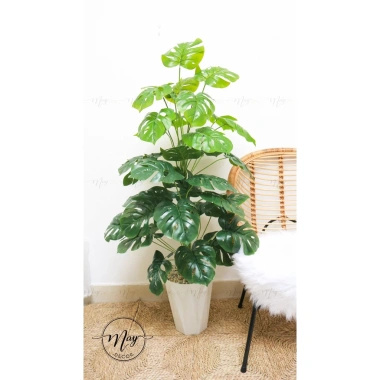 Cây môn trầu bà giả cao cấp - Trang trí nhà cửa, giảm còn 115.000 VND 8 Cây môn trầu bà giả cao cấp - Trang trí nhà cửa, giảm còn 115.000 VND 8