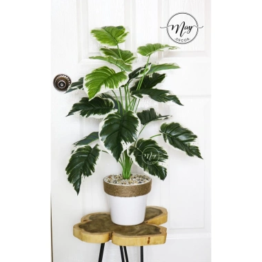 Cây môn trầu bà giả cao cấp - Trang trí nhà cửa, giảm còn 115.000 VND 10 Cây môn trầu bà giả cao cấp - Trang trí nhà cửa, giảm còn 115.000 VND 10