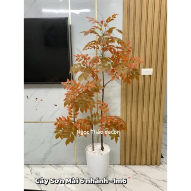 Cây nam thiên trúc cao cấp 1m65 - Cây giả cao su, decor nội thất, giảm giá 22 phần trăm 3