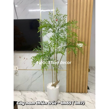 Cây nam thiên trúc cao cấp 1m65 - Cây giả cao su, decor nội thất, giảm giá 22 phần trăm 5