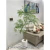 Cây nam thiên trúc cao cấp 1m65 - Cây giả cao su, decor nội thất, giảm giá 22 phần trăm 6