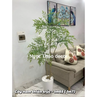 Cây nam thiên trúc cao cấp 1m65 - Cây giả cao su, decor nội thất, giảm giá 22 phần trăm 6