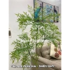 Cây nam thiên trúc cao cấp 1m65 - Cây giả cao su, decor nội thất, giảm giá 22 phần trăm 7