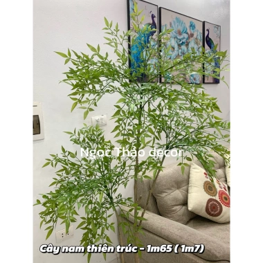 Cây nam thiên trúc cao cấp 1m65 - Cây giả cao su, decor nội thất, giảm giá 22 phần trăm 7