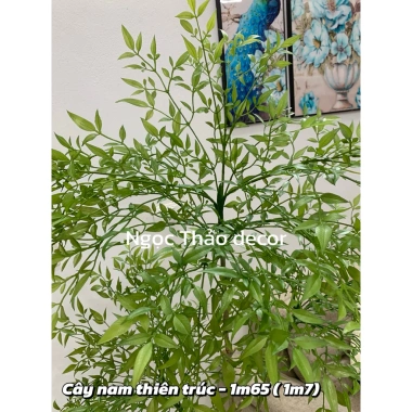 Cây nam thiên trúc cao cấp 1m65 - Cây giả cao su, decor nội thất, giảm giá 22 phần trăm 8