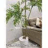 Cây nam thiên trúc cao cấp 1m65 - Cây giả cao su, decor nội thất, giảm giá 22 phần trăm 9